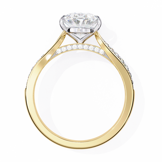 Oval & Round Ring - Architectural